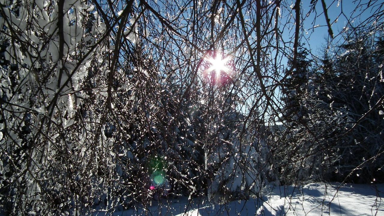 Bild 41 Bild 41